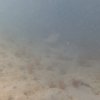05.08.2026