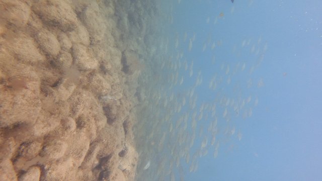 07.08.2026