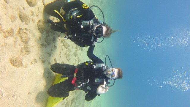 08.10.2026