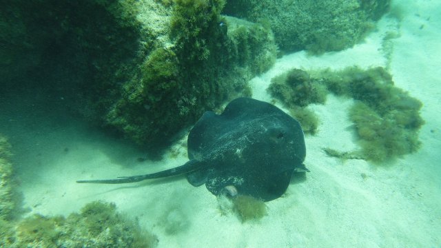 09.07.2026