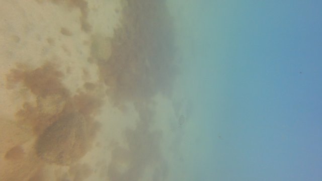 11.08.2026