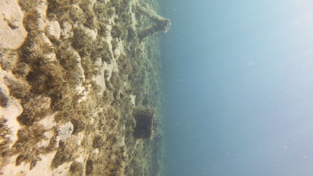 13.07.2026