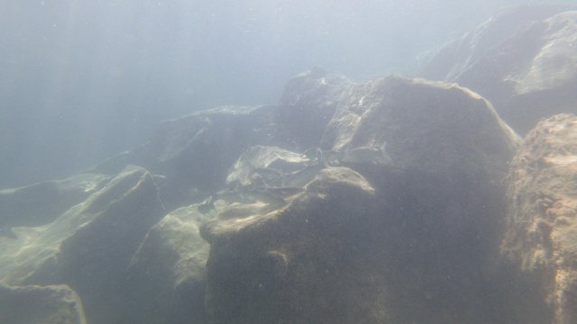 13.08.2026