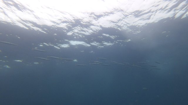 14.06.2026