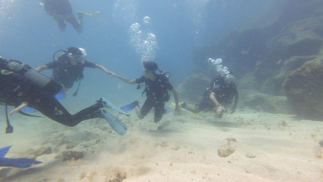 14.08.2026