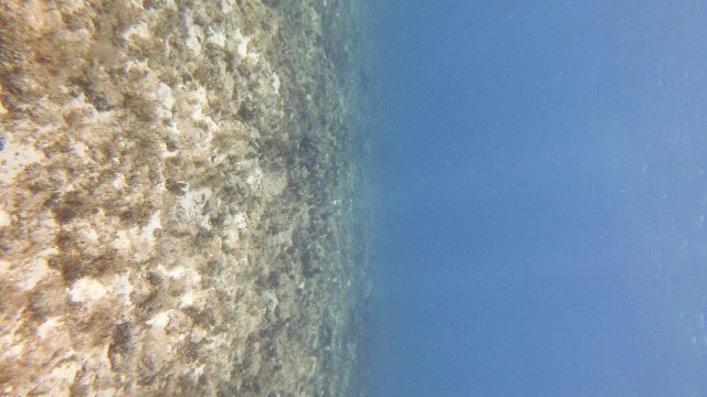 15.06.2026