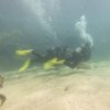 15.07.2026
