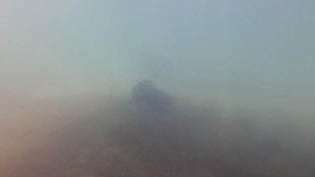 15.08.2026