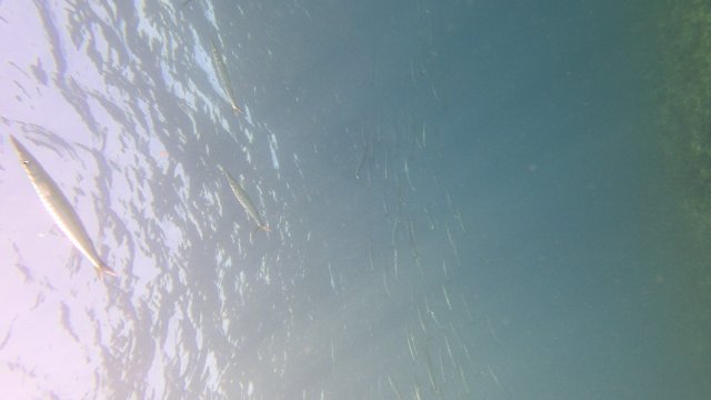 16.06.2026