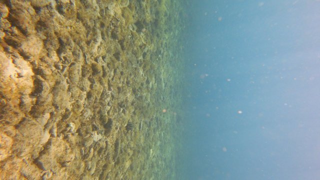 17.06.2026