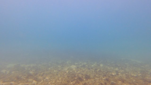 18.05.2026