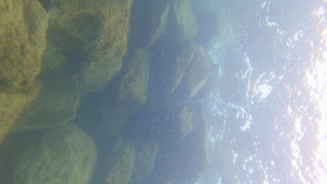 18.05.2026