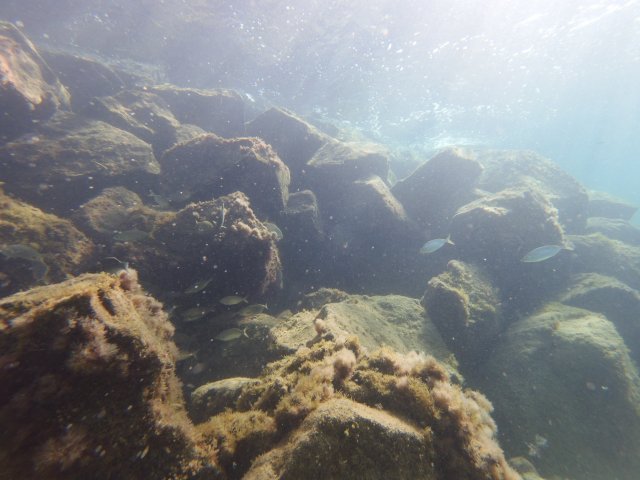 20.08.2026