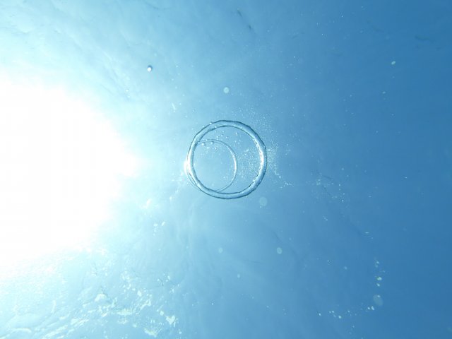 20.08.2026