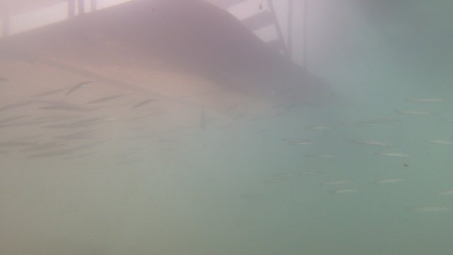 21.07.2026
