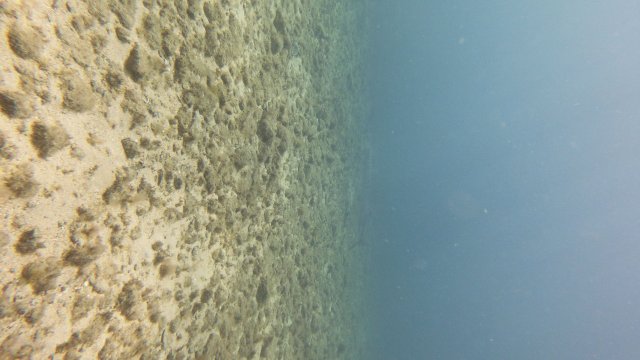 23.08.2026