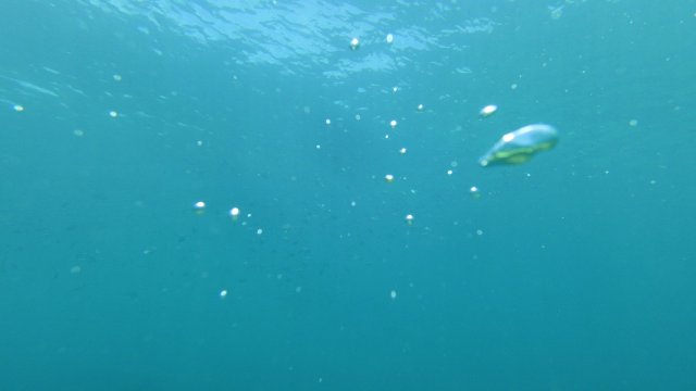 24.06.2026