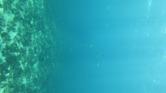 24.06.2026