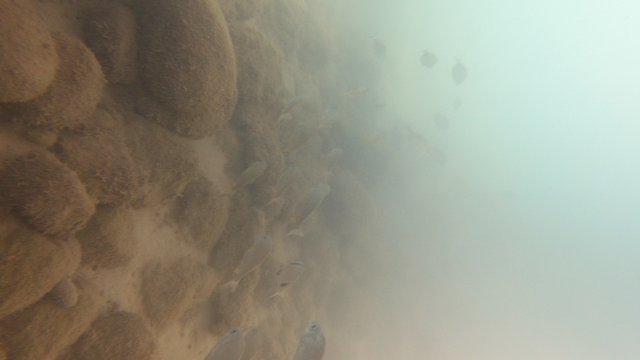 28.06.2026