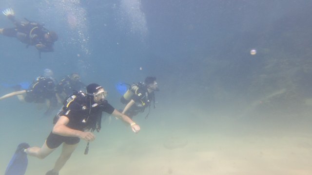 31.08.2026